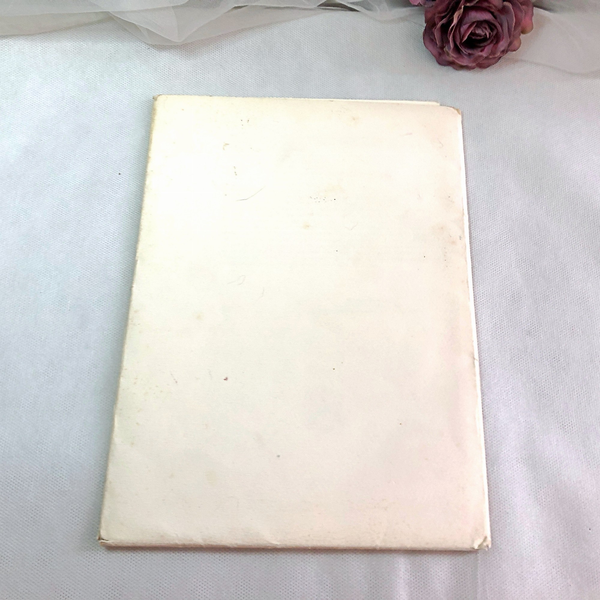 Image 20